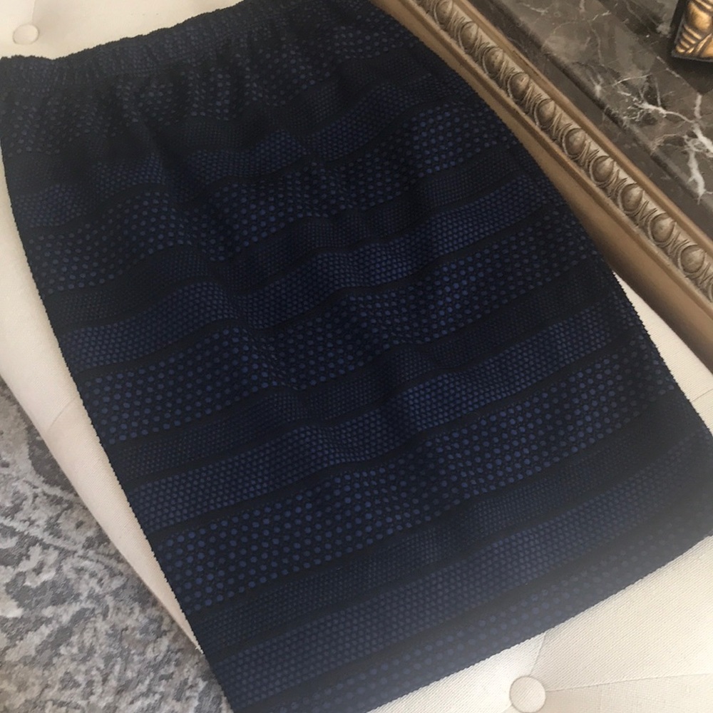 Elegant Navy Blue Women's Skirt